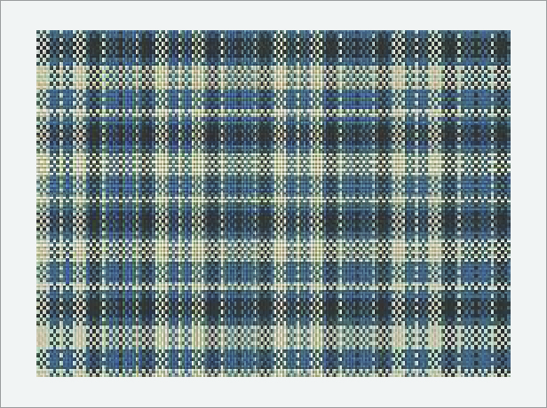 Woven Plaid Fabric